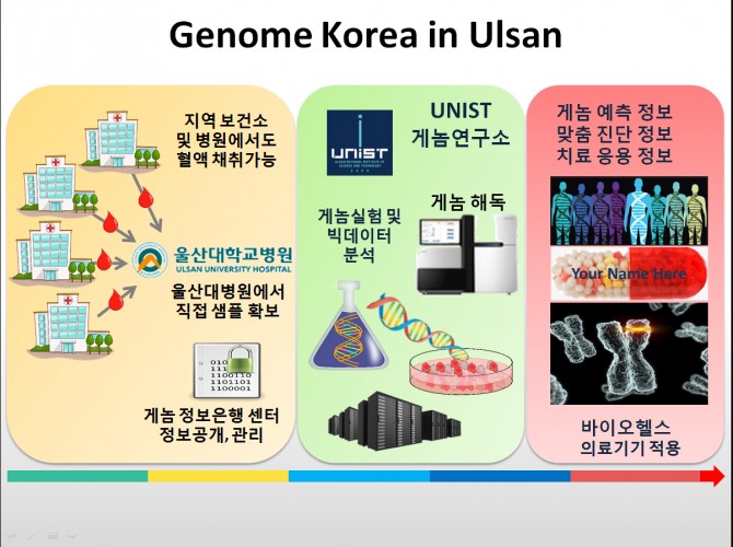 울산 만 명 게놈 프로젝트(Genome Korea in Ulsan) 흐름도 - UNIST 제공